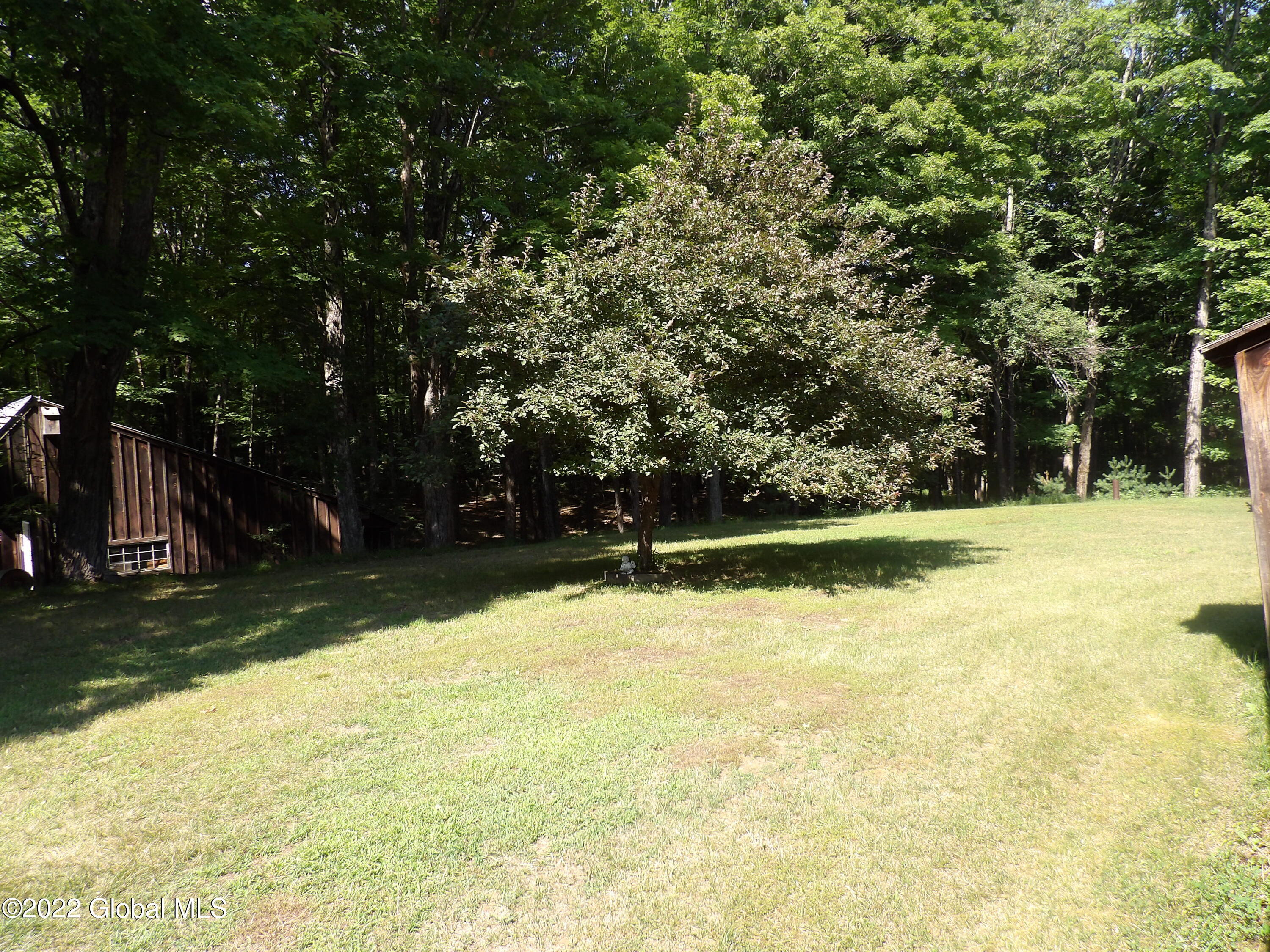 1278 Hadley Hill Road Hadley, NY 12835 - Photo 26 of 36 100_0139
