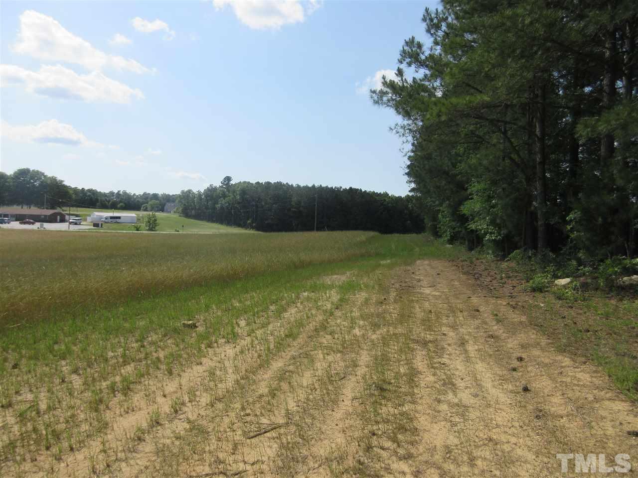 8304 Mitchell Mill Road Zebulon, NC 27597 - Photo 11 of 22 a view of a lake with a mountain in the background