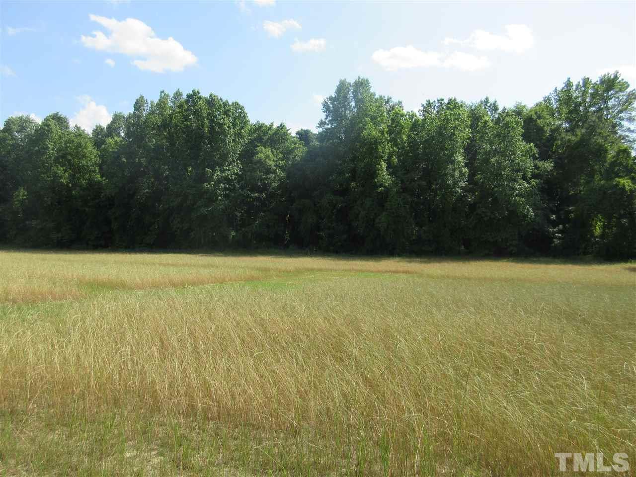 8304 Mitchell Mill Road Zebulon, NC 27597 - Photo 12 of 22 a view of an ocean and trees