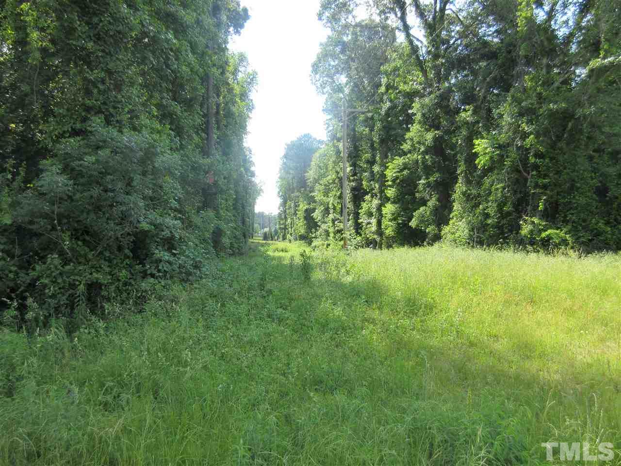 8304 Mitchell Mill Road Zebulon, NC 27597 - Photo 14 of 22 a view of outdoor space and yard