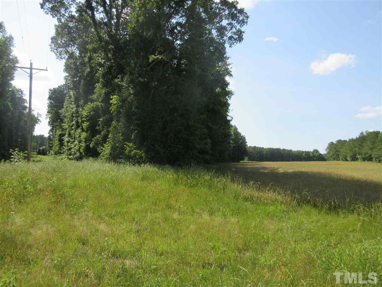 8304 Mitchell Mill Road Zebulon, NC 27597 - Photo 16 of 22 a view of lake background with mountain