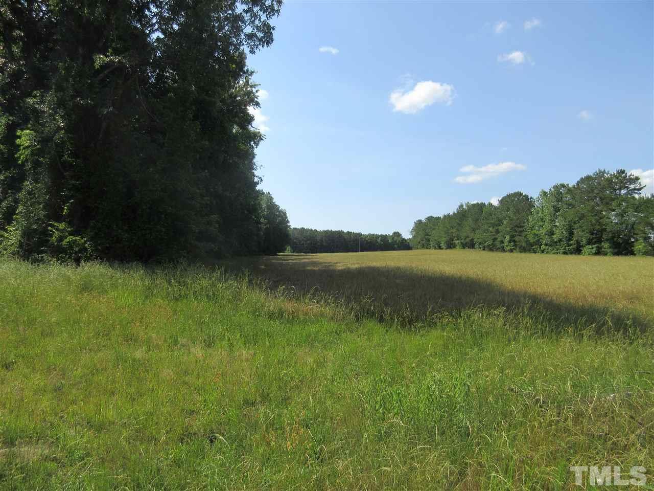 8304 Mitchell Mill Road Zebulon, NC 27597 - Photo 17 of 22 a view of a lake from a yard