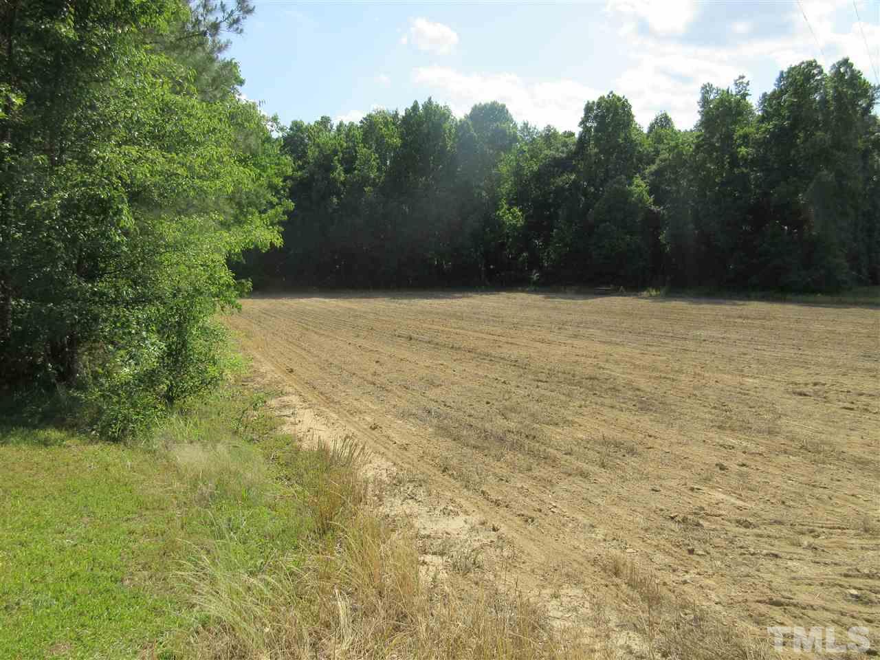 8304 Mitchell Mill Road Zebulon, NC 27597 - Photo 20 of 22 a view of a yard