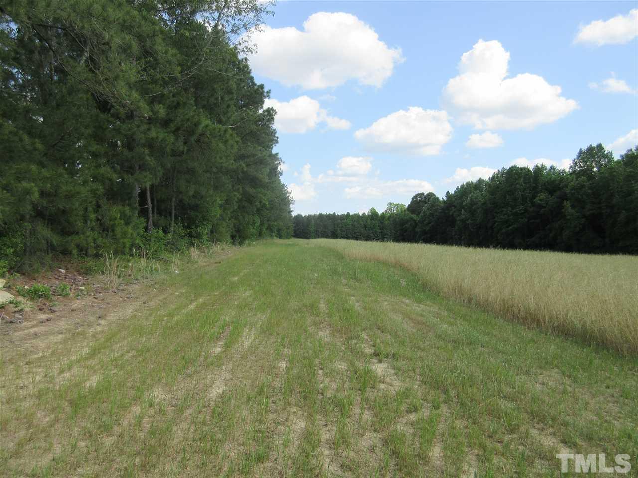8304 Mitchell Mill Road Zebulon, NC 27597 - Photo 4 of 22 a view of a field