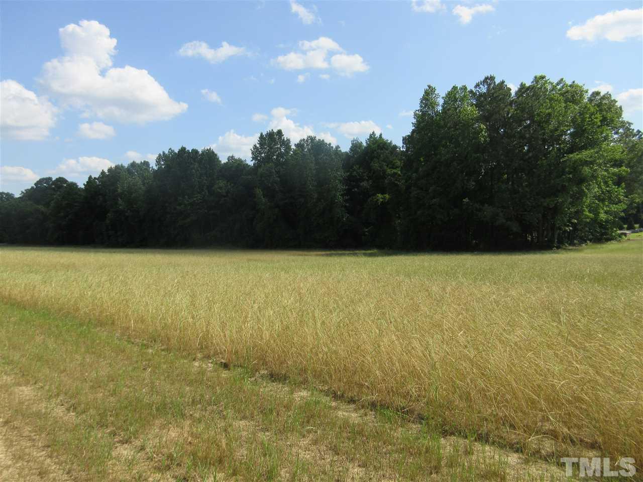 8304 Mitchell Mill Road Zebulon, NC 27597 - Photo 5 of 22 a view of yard with trees in the background