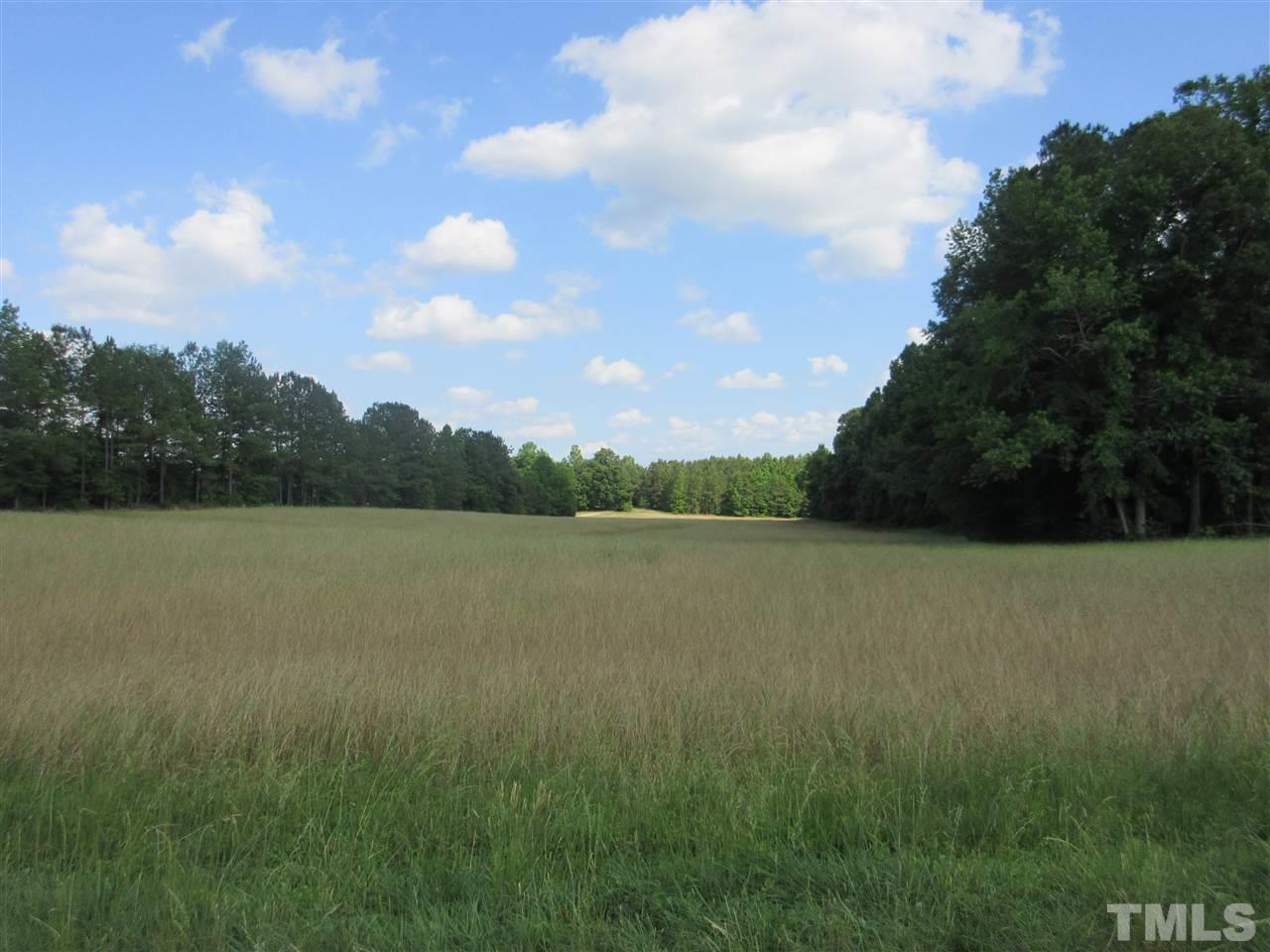8304 Mitchell Mill Road Zebulon, NC 27597 - Photo 6 of 22 a view of lake with lots of green space