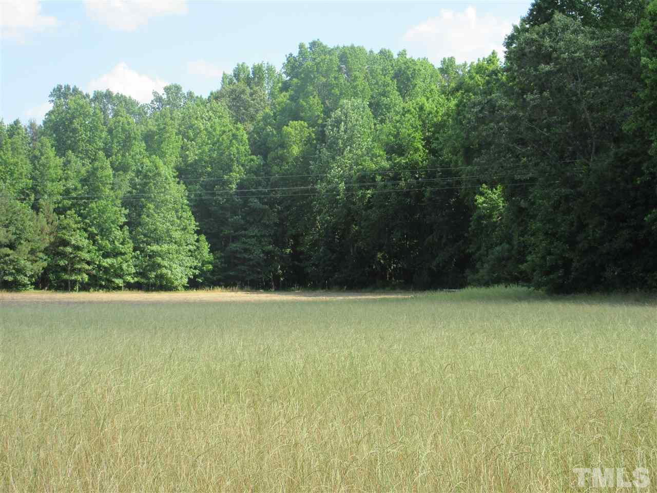 8304 Mitchell Mill Road Zebulon, NC 27597 - Photo 10 of 22 a view of a yard with a small space
