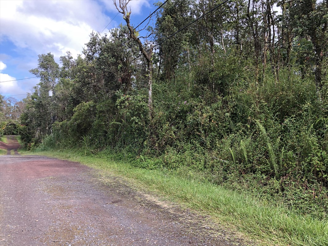 720 Seadrift Road Pahoa, HI 96778 - Photo 2 of 2 Gallery Image 2
