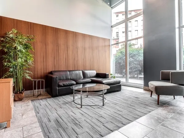 a living room with furniture and a potted plant