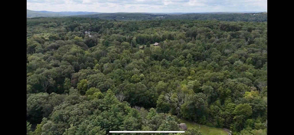 -ab Crescent Street Ware, MA 01082 - Photo 11 of 13 a view of a forest with a street
