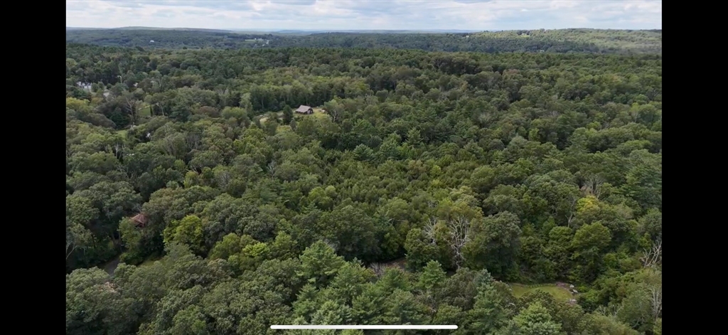-ab Crescent Street Ware, MA 01082 - Photo 13 of 13 a view of a forest with a street