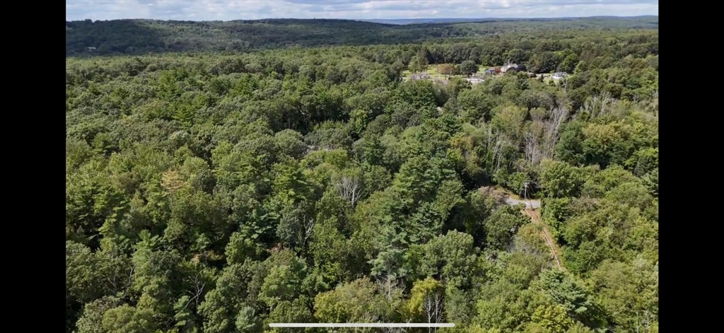 -ab Crescent Street Ware, MA 01082 - Photo 5 of 13 a view of a forest with a street