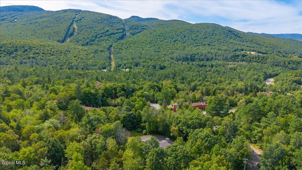 82 Freebern Road Johnsburg, NY 12853 - Photo 47 of 49 57-82 freeburn rd-14