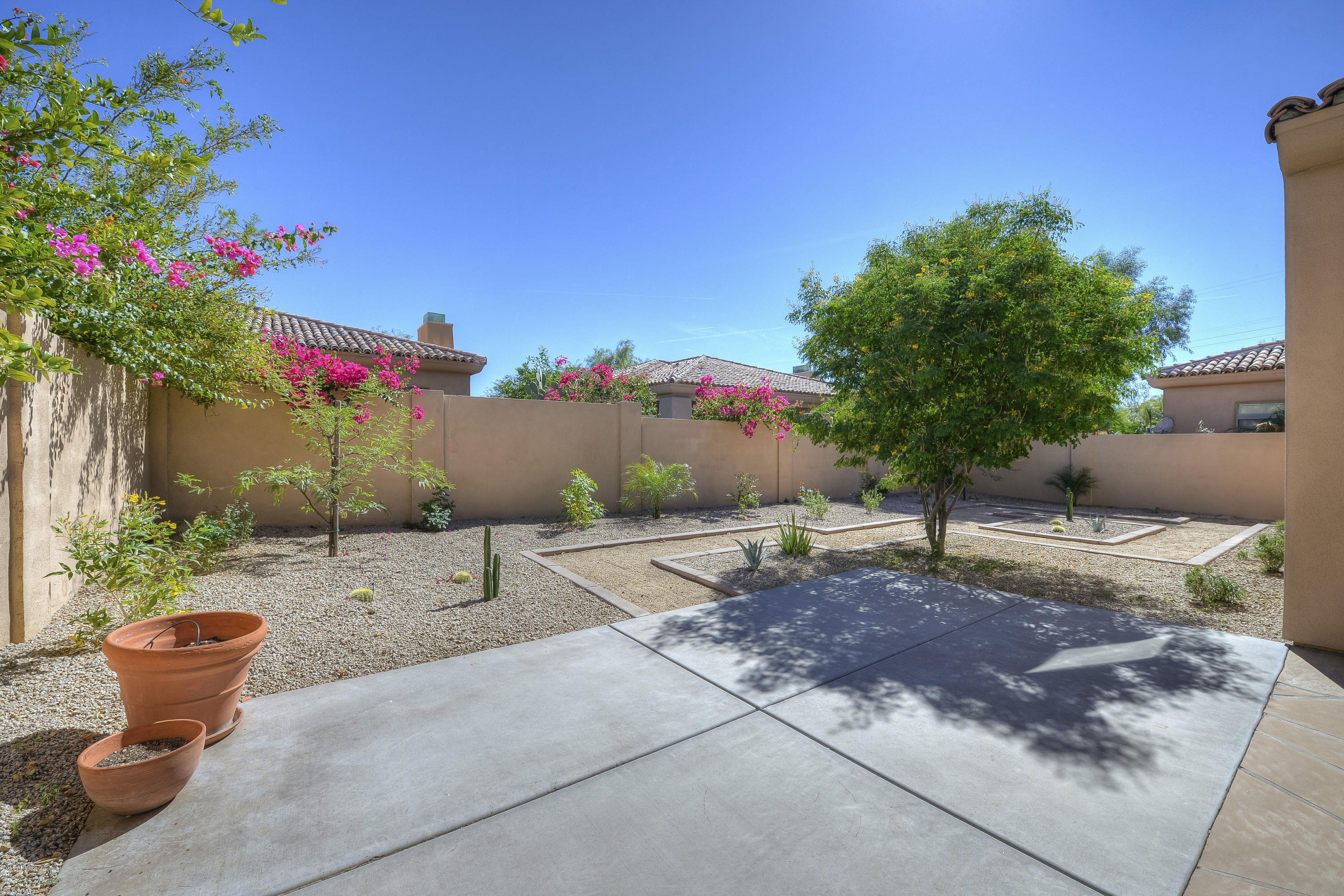 8147 East Beardsley Road Scottsdale, AZ 85255 - Photo 23 of 24 a view of a backyard with plants and chairs