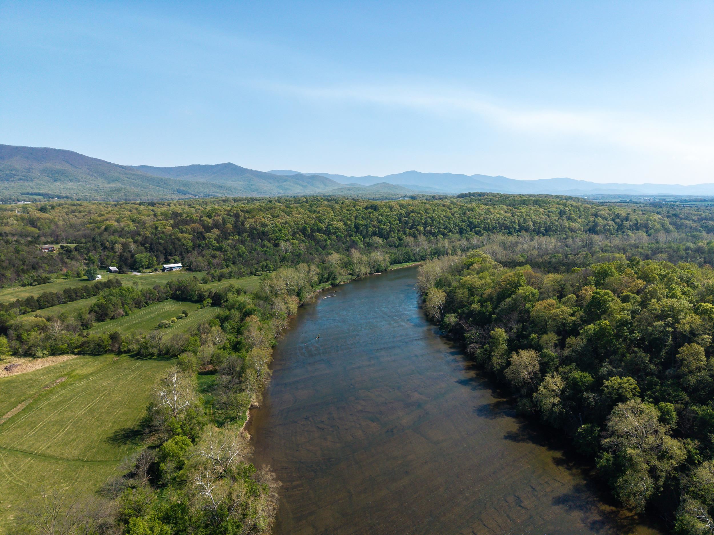 702 Richview Road Rileyville, VA 22650 - Photo 60 of 75 a view of a lush green forest with lots of trees