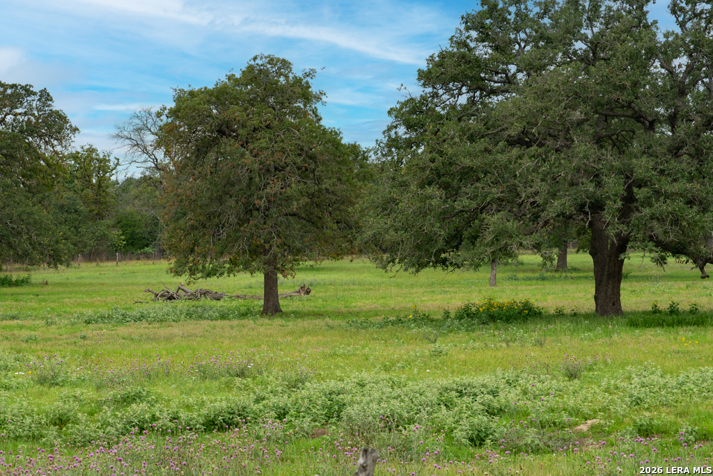 104 Longhorn Road Stockdale, TX 78160 - Photo 4 of 47 a view of outdoor space with trees all around