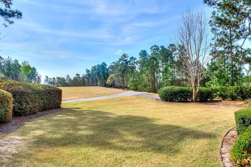 369 Steeplechase Road Aiken, SC 29803 - Photo 31 of 32 Gallery Image 31