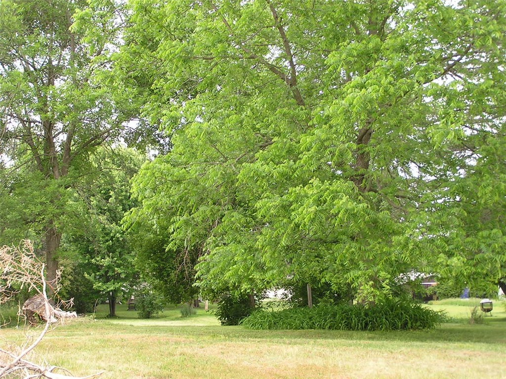 916 East 4th Street South Ladysmith, WI 54848 - Photo 2 of 4