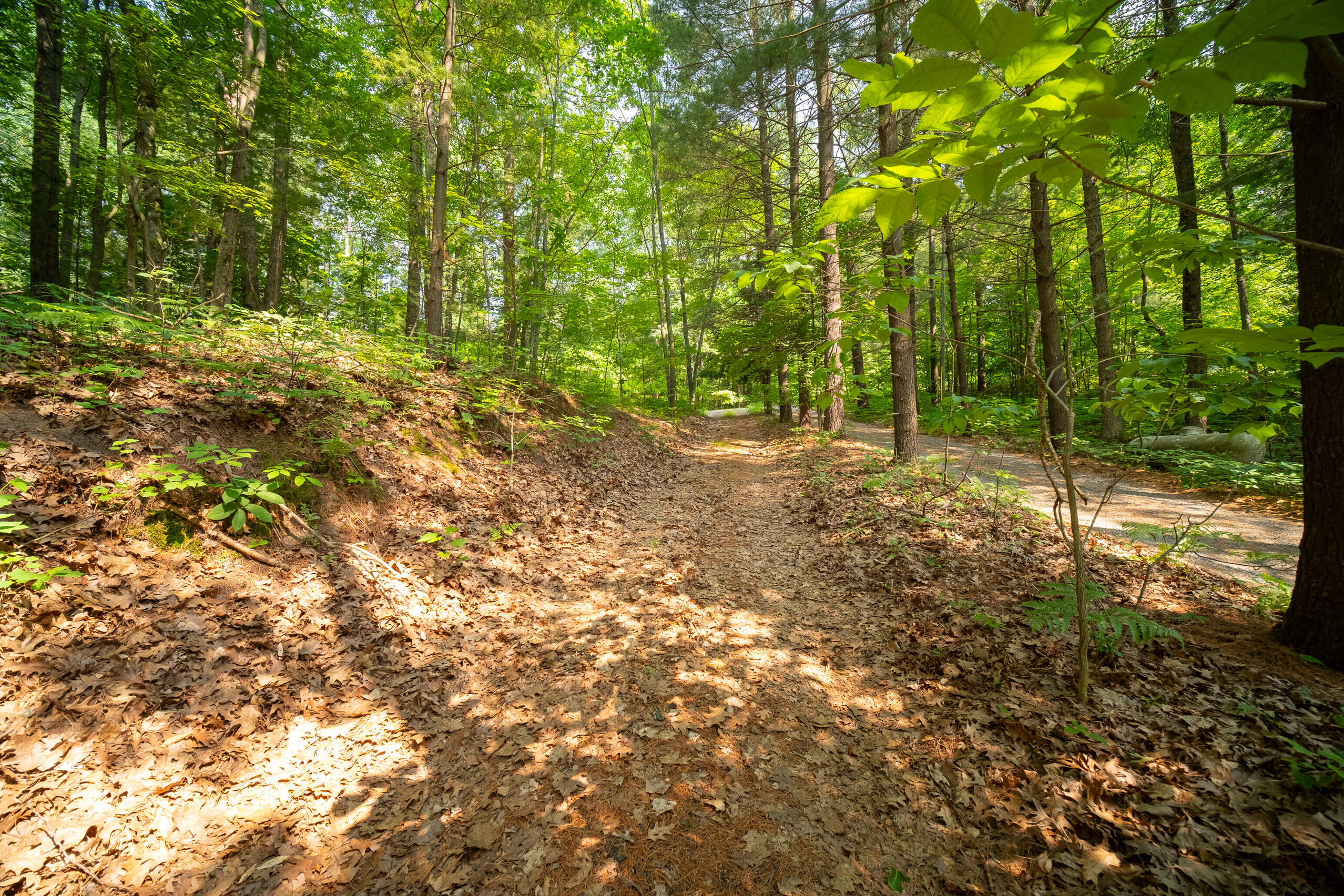5475 East Deer Road Fountain, MI 49410 - Photo 43 of 44 5475_E_Deer_Rd-30