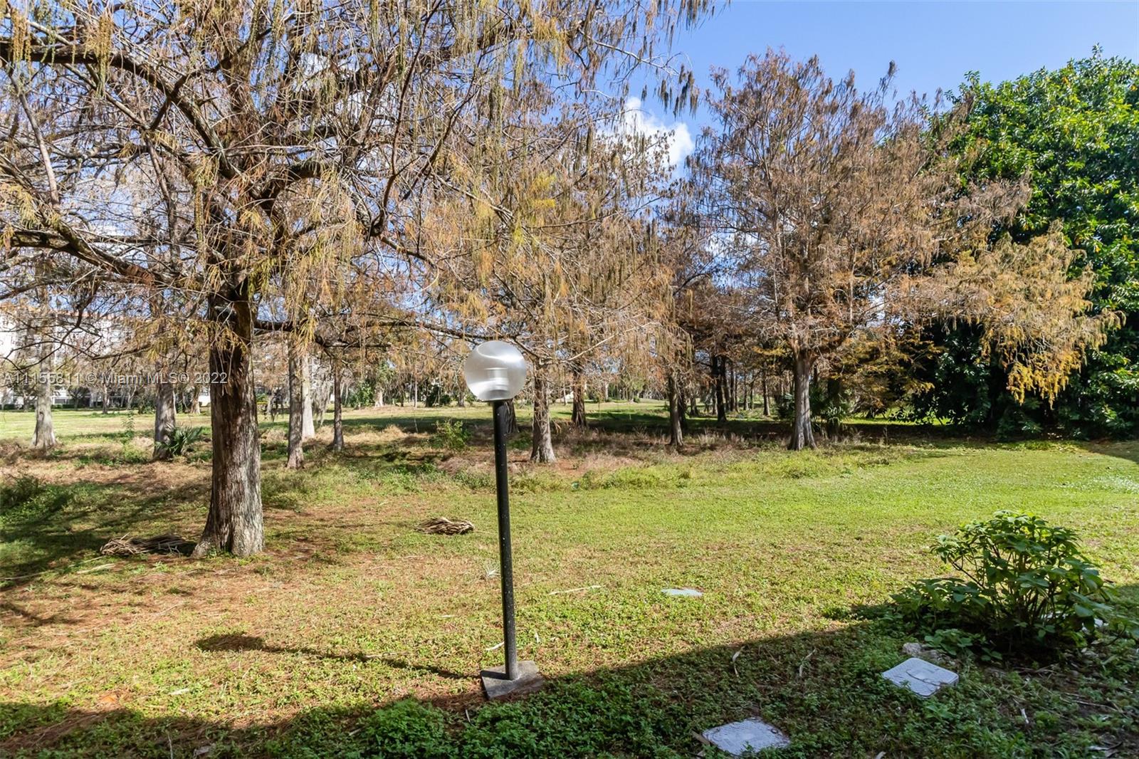 4106 Inverrary Drive, Unit 13C Lauderhill, FL 33319 - Photo 45 of 46 a view of a trees in front of a house