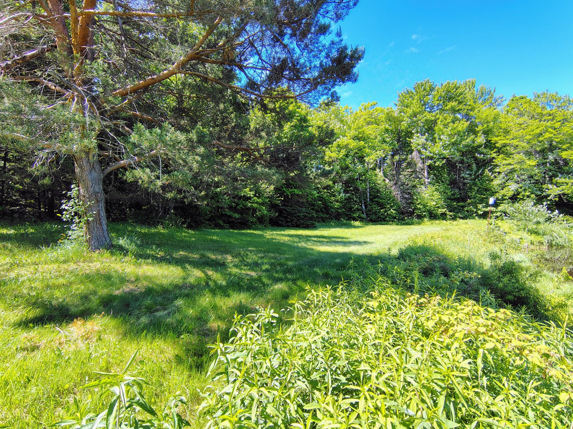 26534 Schoch Road Glidden, WI 54527 - Photo 12 of 31