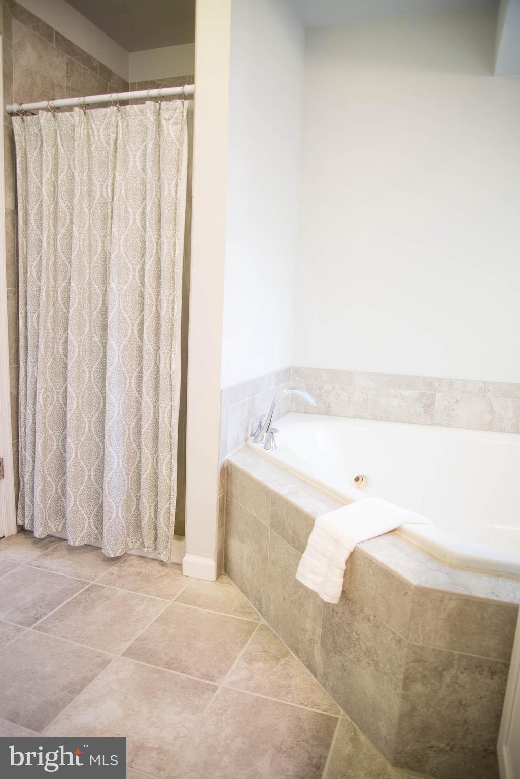 304 Spotswood Road Locust Grove, VA 22508 - Photo 13 of 23 master bath with separate shower and soaking tub