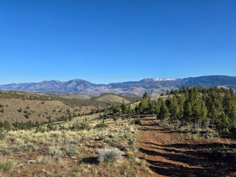 Marks Creek Rd Mount Dayville, OR 97825 - Photo 4 of 12 Miller Ranch Views Aldrich Mountains - C