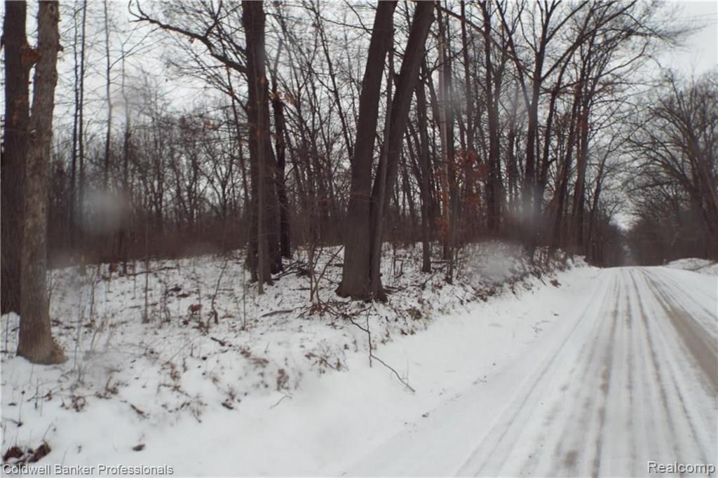 Eight West Eight Mile Road South Lyon, MI 48178 - Photo 51 of 58
