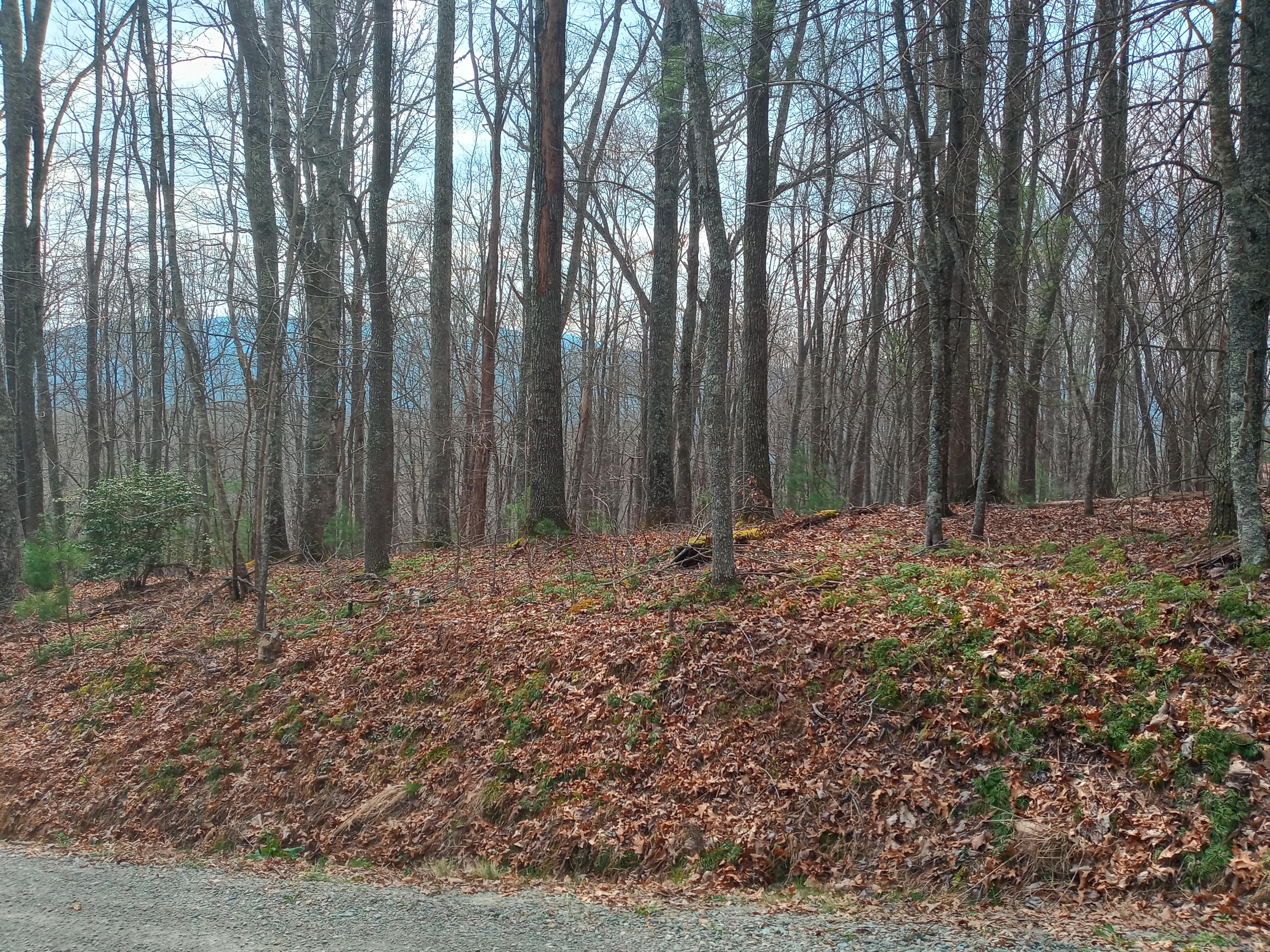 Tbd Tbd Mine Ridge Rd Mountain, Unit 15 Mountain City, TN 37683 - Photo 5 of 8 20210408_113812_HDR