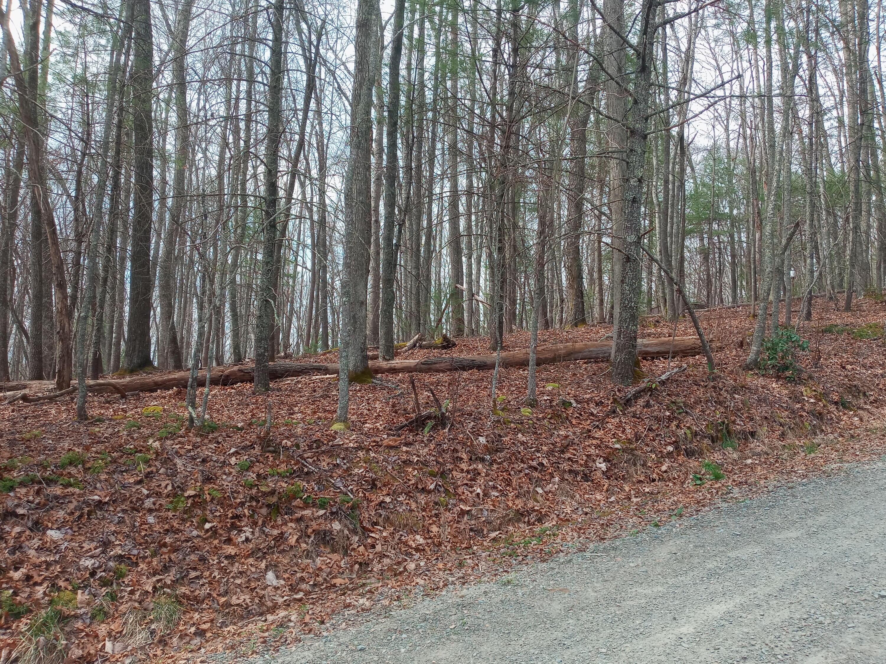 Tbd Tbd Mine Ridge Rd Mountain, Unit 15 Mountain City, TN 37683 - Photo 6 of 8 20210408_113817