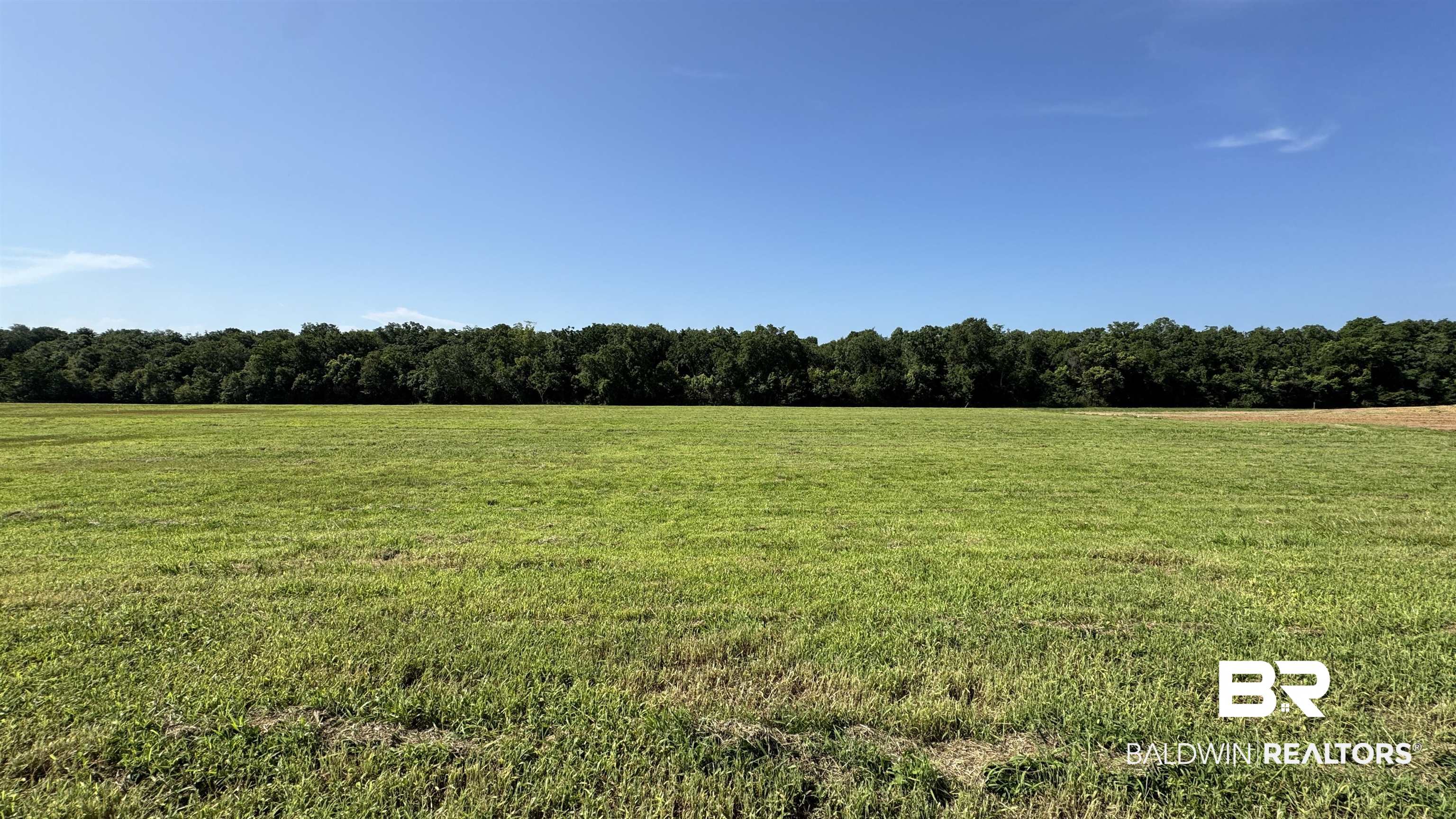 0 Gallery Boulevard Fairhope, AL 36532 - Photo 7 of 13 View of tree filled area featuring a view of rural / pastoral area