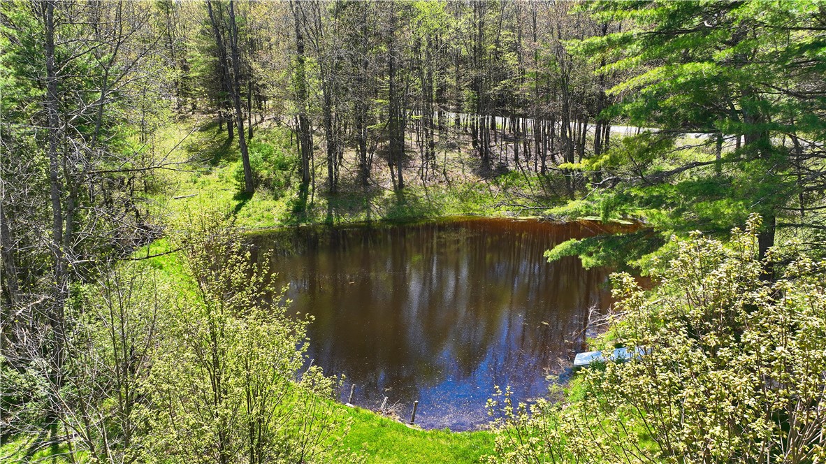 480 Buckley Hill Road Coventry, NY 13730 - Photo 31 of 39