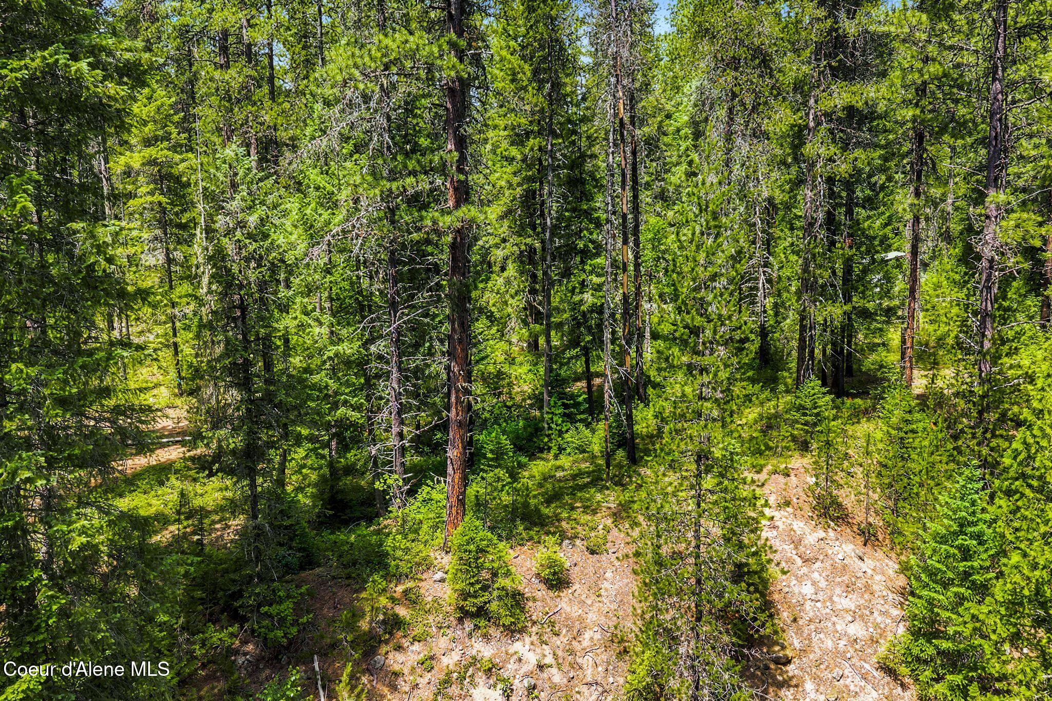 Nna Lantern Lane Sandpoint, ID 83864 - Photo 24 of 29 20_DJI_20260703035332_0894_D