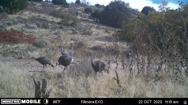 1100 South Deer Pasture Road Fillmore, UT 84631 - Photo 21 of 25 View of nature