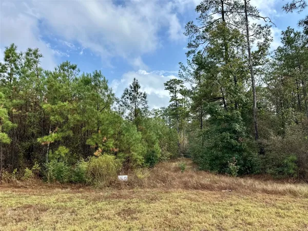 $155,000 | 15886 Wood Grv Way, Willis, TX 77378