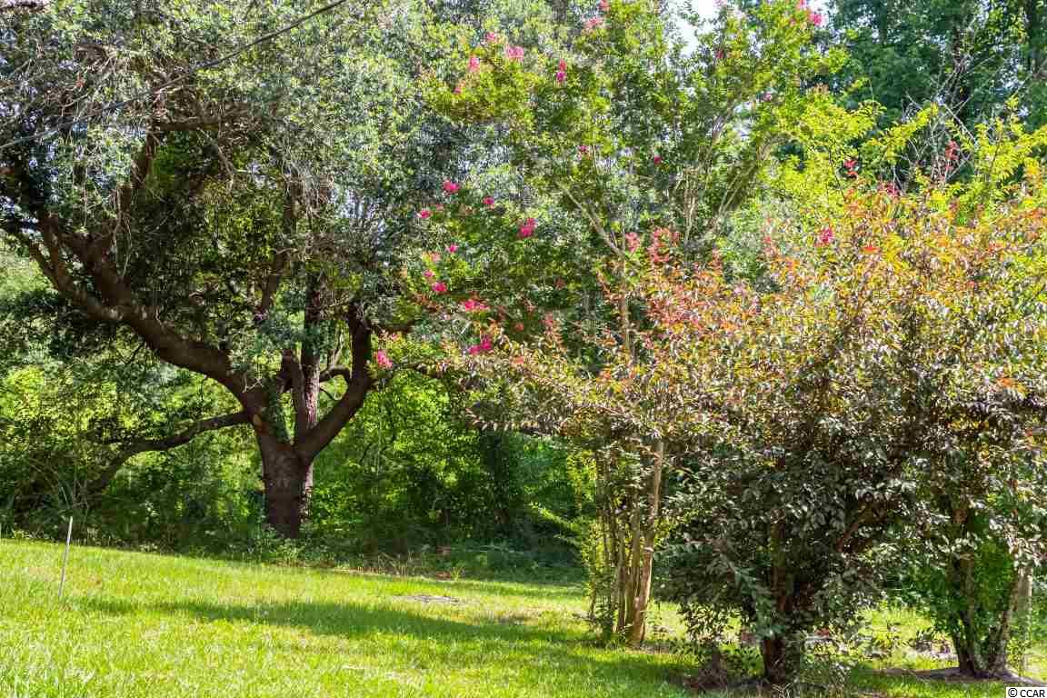 609 Goretown Loop Loris, SC 29569 - Photo 29 of 30 Gallery Image 29