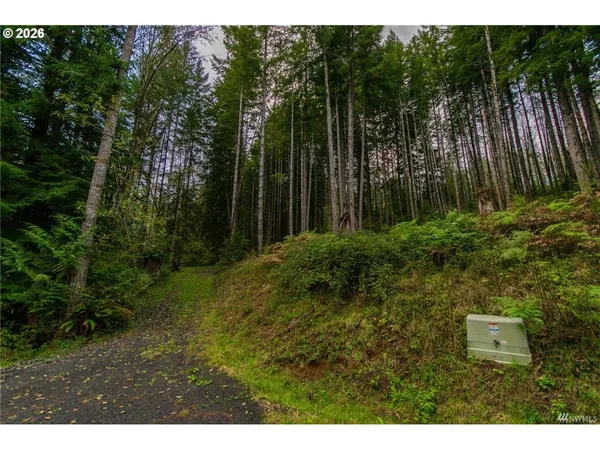 a view of outdoor space and yard
