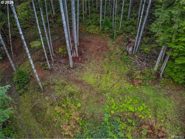 a view of backyard with green space