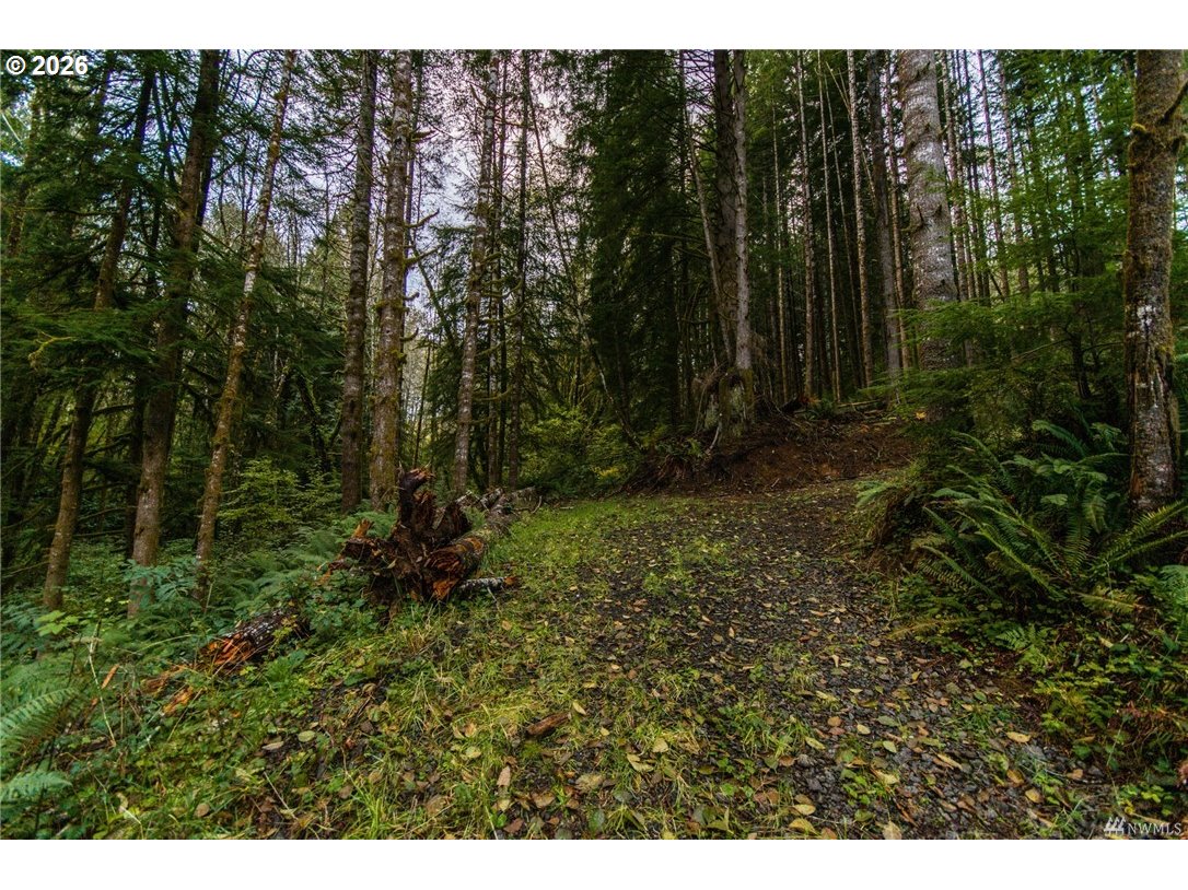 1 Bison Run Longview, WA 98632 - Photo 6 of 9 a view of outdoor space and green space