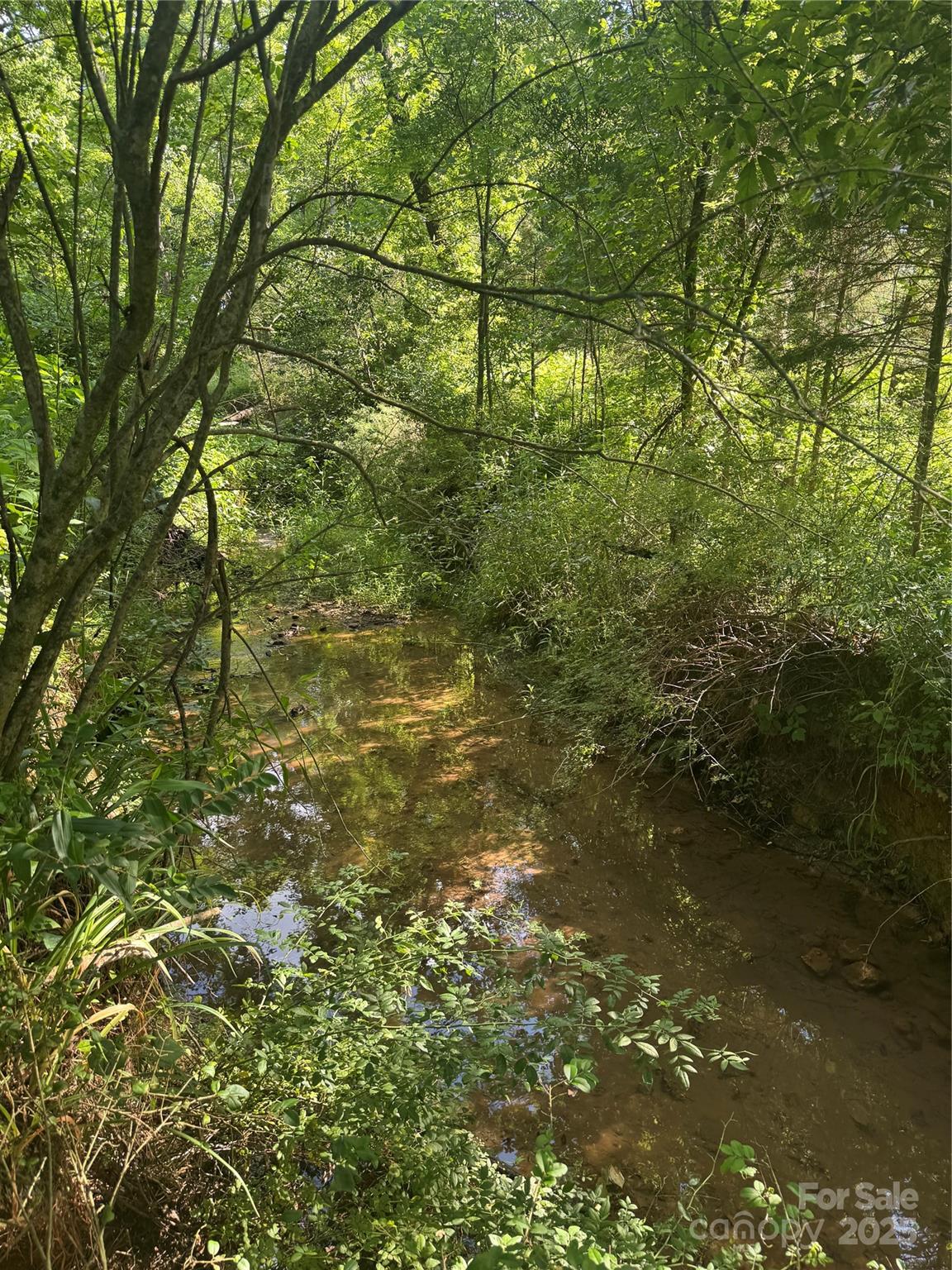 0 Old Belwood Road Lawndale, NC 28090 - Photo 11 of 23 a view of a yard