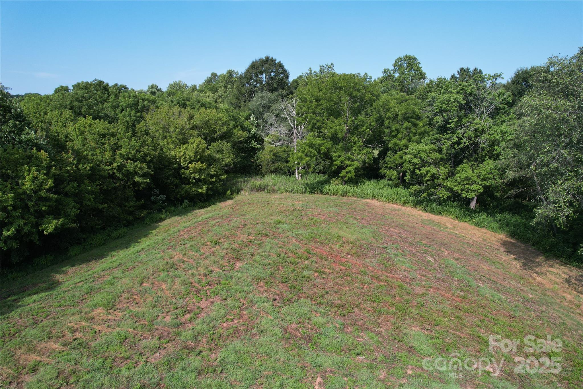 0 Old Belwood Road Lawndale, NC 28090 - Photo 17 of 23 a view of a yard with a tree