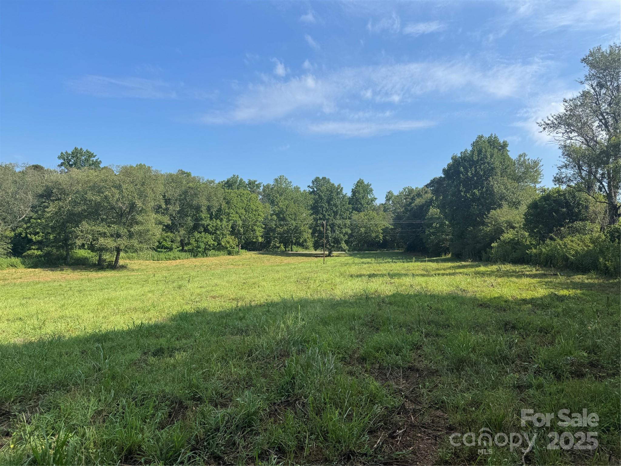 0 Old Belwood Road Lawndale, NC 28090 - Photo 3 of 23 a view of a big yard with a large trees