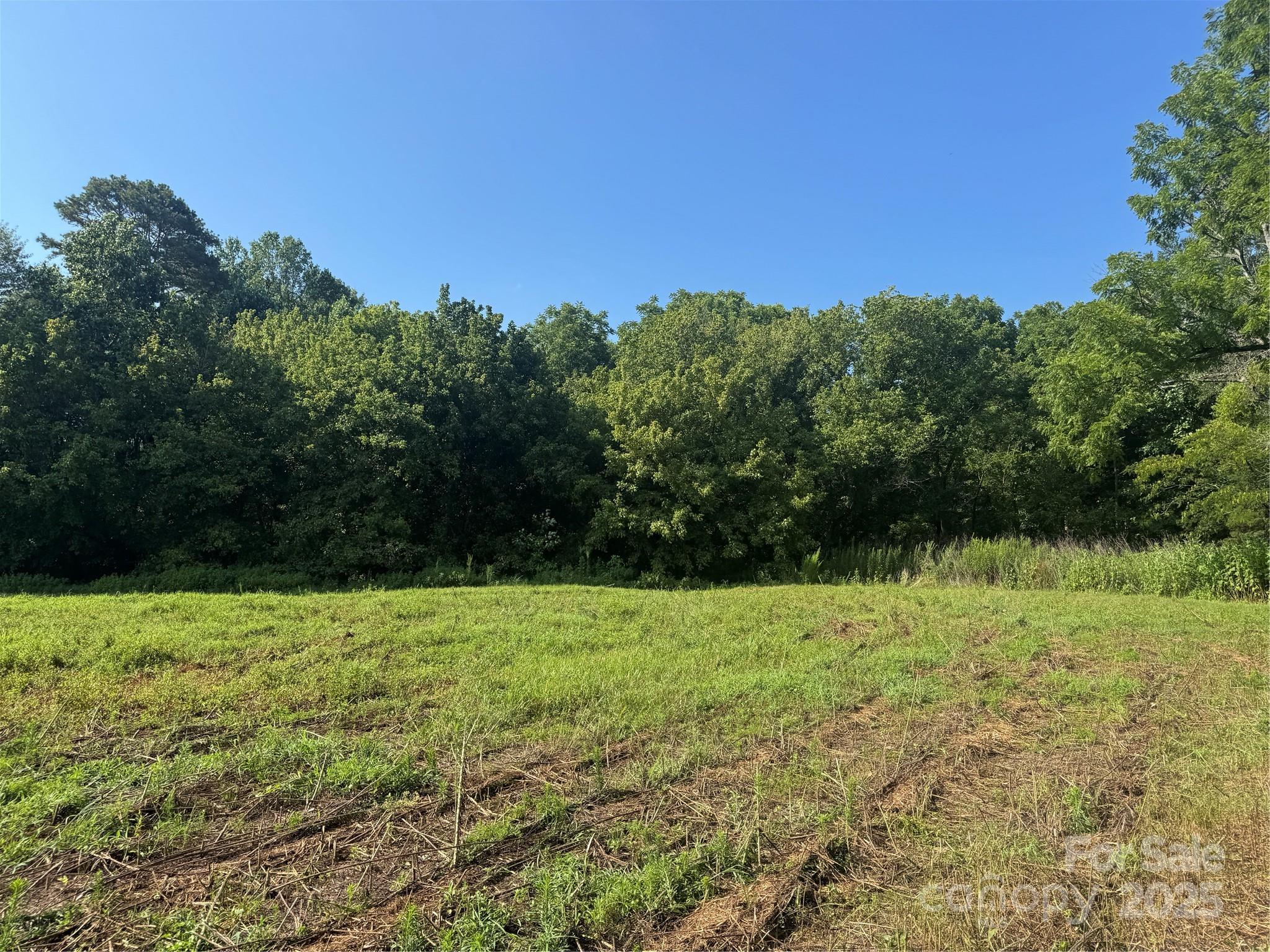 0 Old Belwood Road Lawndale, NC 28090 - Photo 4 of 23 a view of grassy field with trees in the background
