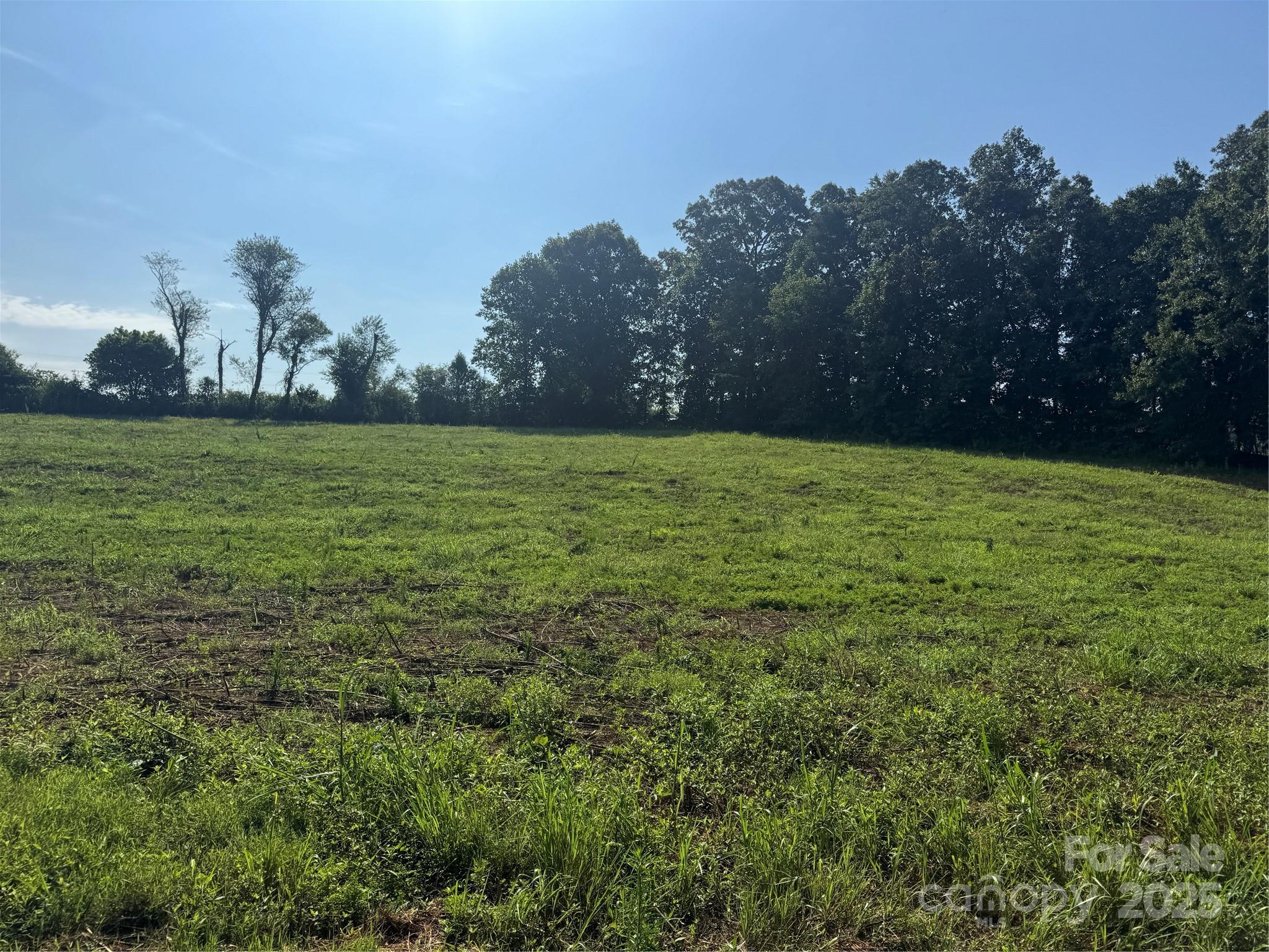 0 Old Belwood Road Lawndale, NC 28090 - Photo 5 of 23 a view of a field of grass and trees