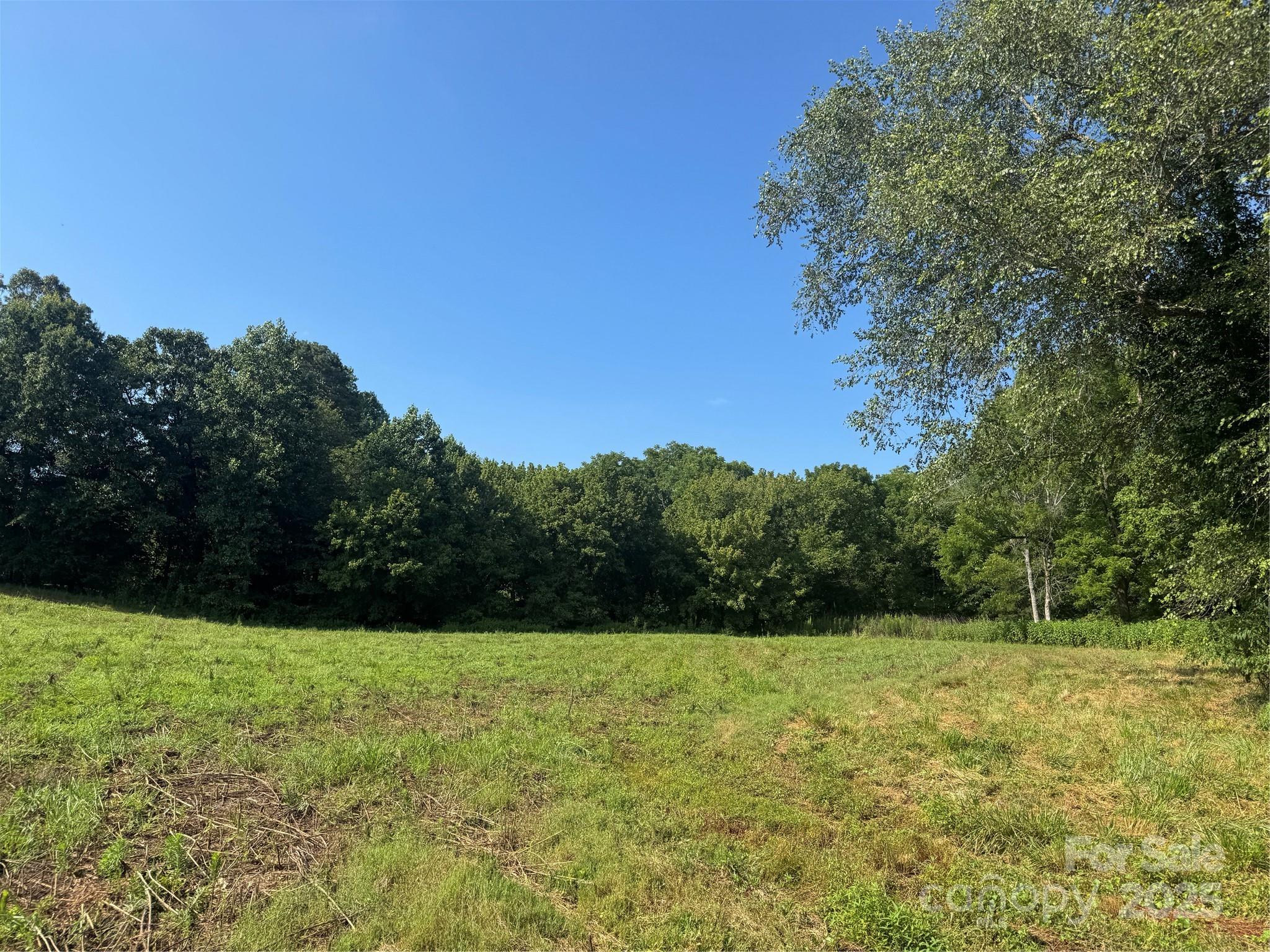 0 Old Belwood Road Lawndale, NC 28090 - Photo 6 of 23 a view of a garden