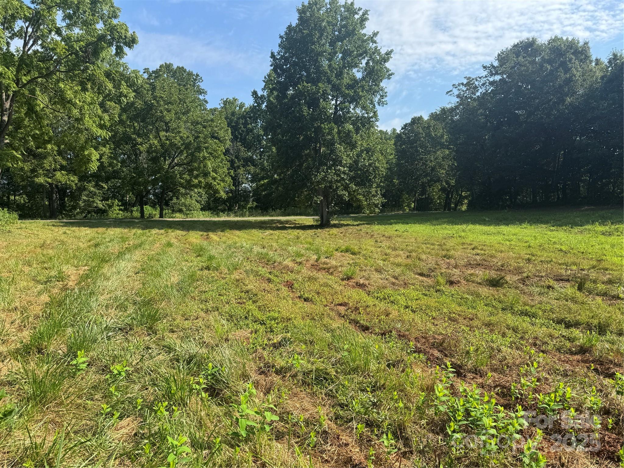 0 Old Belwood Road Lawndale, NC 28090 - Photo 7 of 23 a view of a yard with a trees