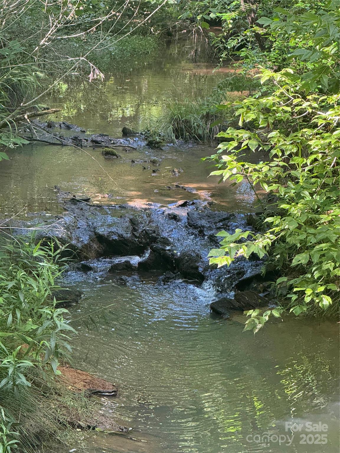 0 Old Belwood Road Lawndale, NC 28090 - Photo 10 of 23 a view of a lake view