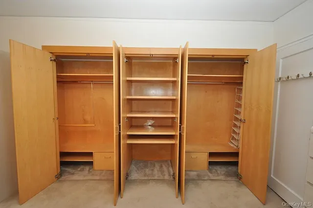 a view of walk in closet with empty racks