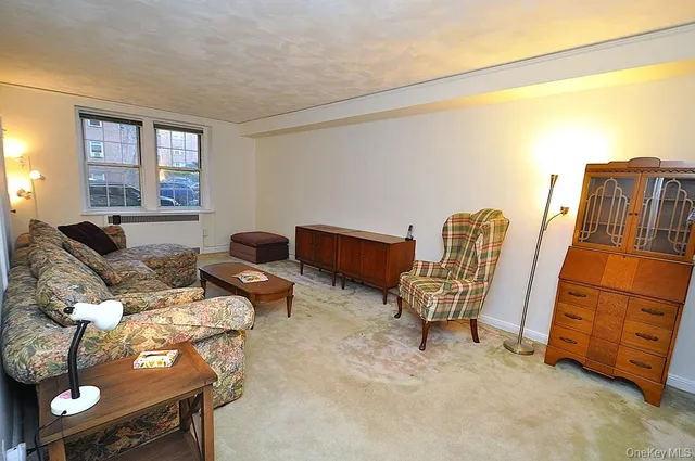 a living room with furniture a couch and two windows