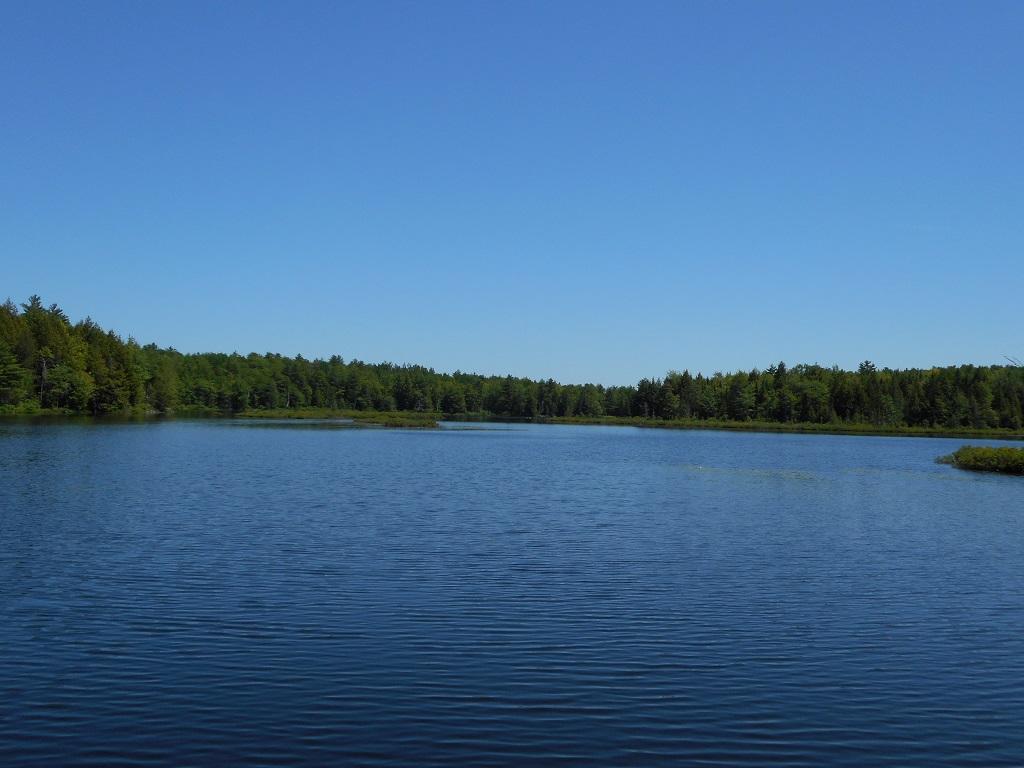 M9-l14 Drake Pond Road Jackson, ME 04921 - Photo 13 of 16 Land